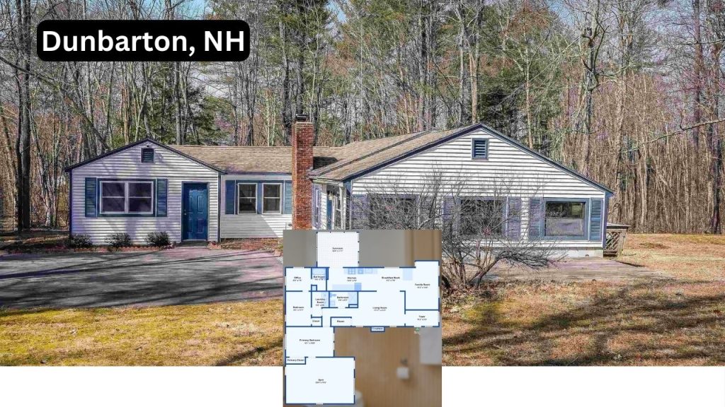 Peter Beauchemin @ Realty One Group Next Level