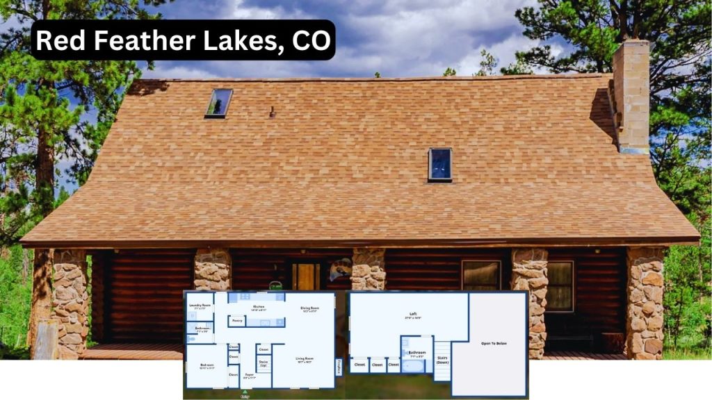 Ryan Bender @ Real Broker LLC