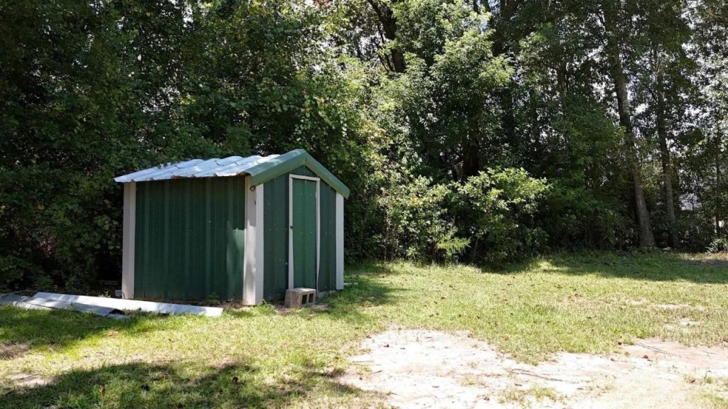 Small green metal shed near trees in a grassy backyard.