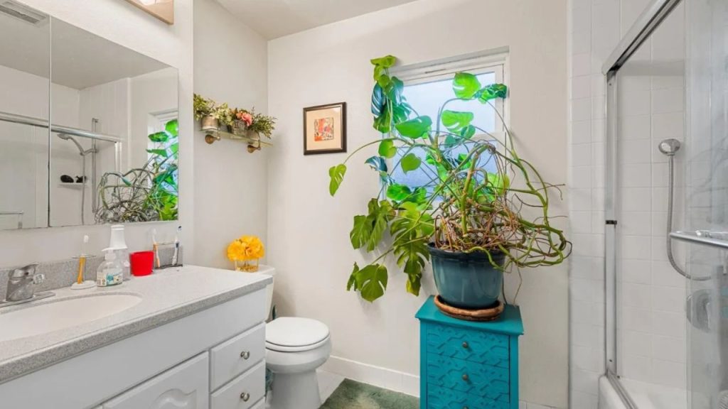 A serene bathroom with green plants, turquoise cabinet, and glass shower.