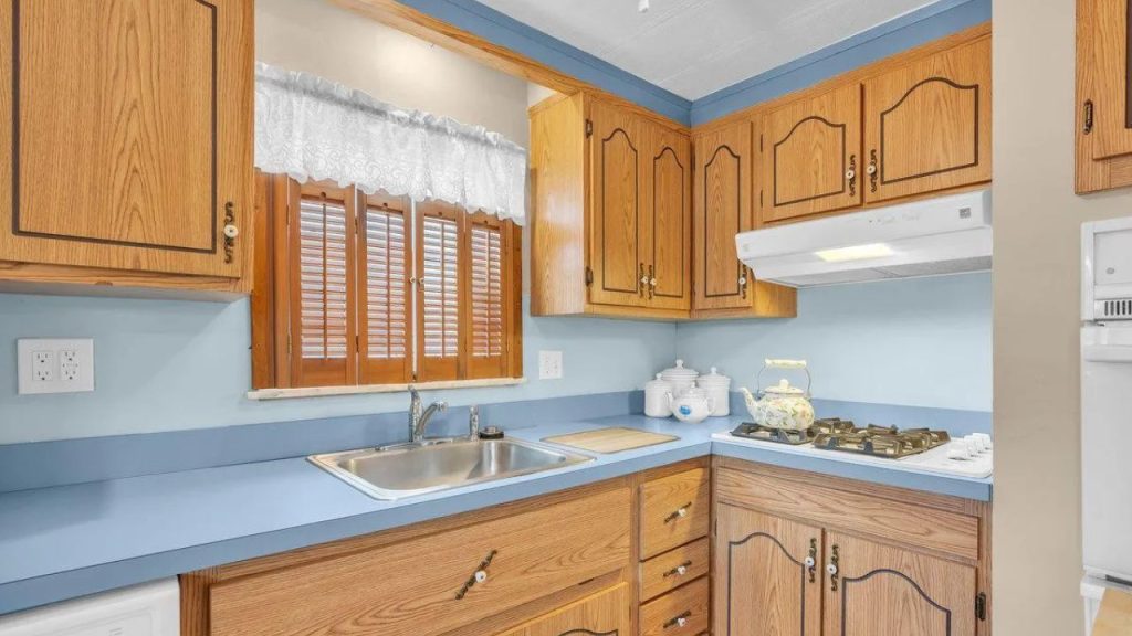 Vintage-Inspired Galley Kitchen