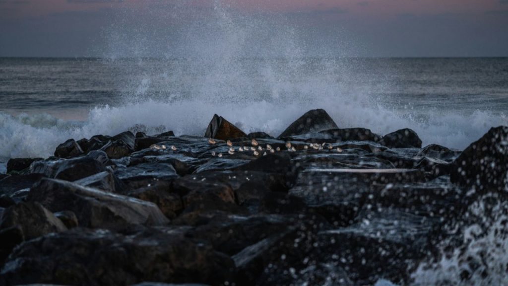 Sea Girt Landmark