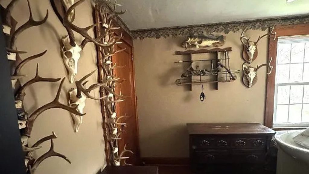 A rustic room with antler decorations, a wooden dresser, and a window letting in soft light.