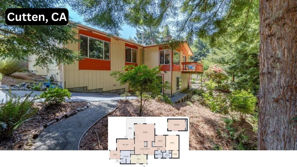 Explore This Serene Cutten Retreat with Stunning Redwood Views and Wraparound Deck (Floor Plan Included)