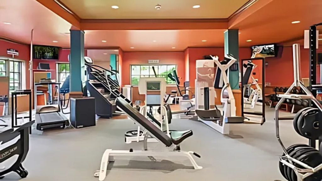 A bright gym with orange walls, exercise equipment, and large windows overlooking greenery.