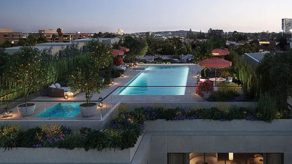 Rooftop pool with trees, lounge seating, and city views.