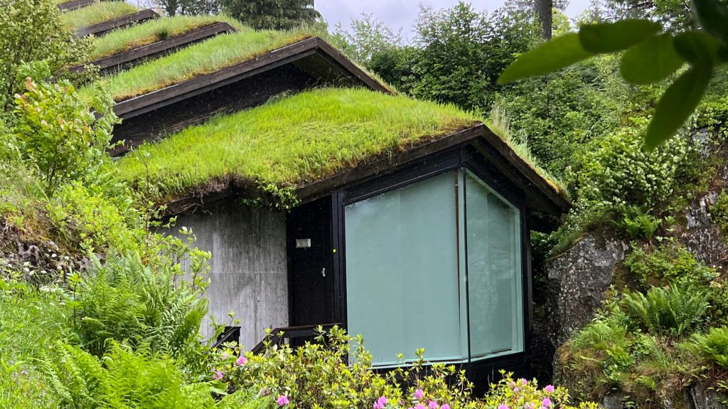 Green Roof