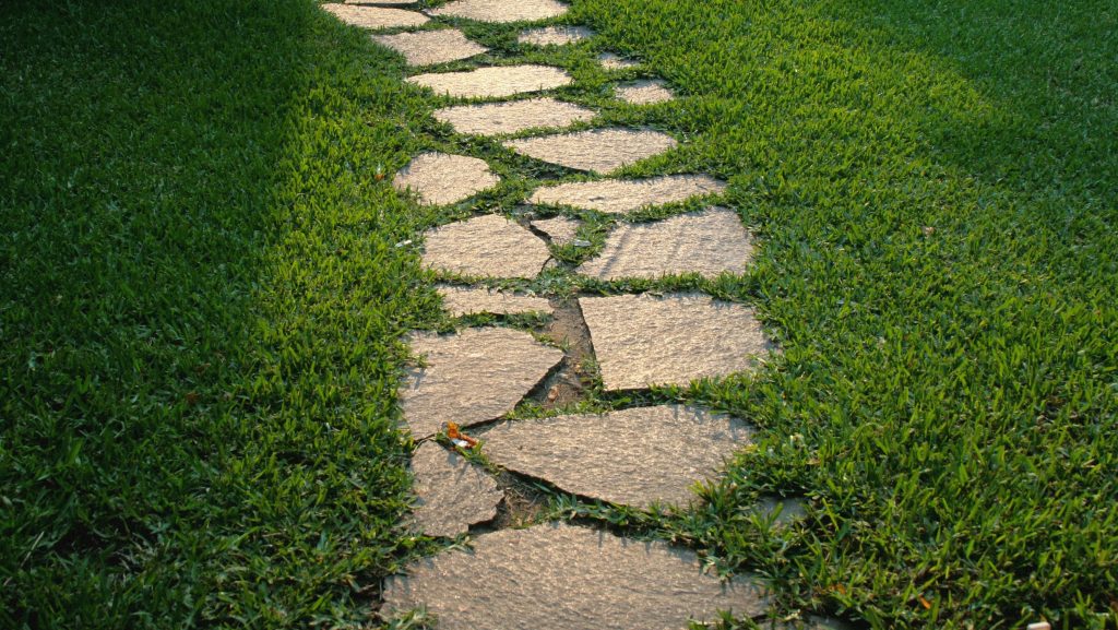 Pathway