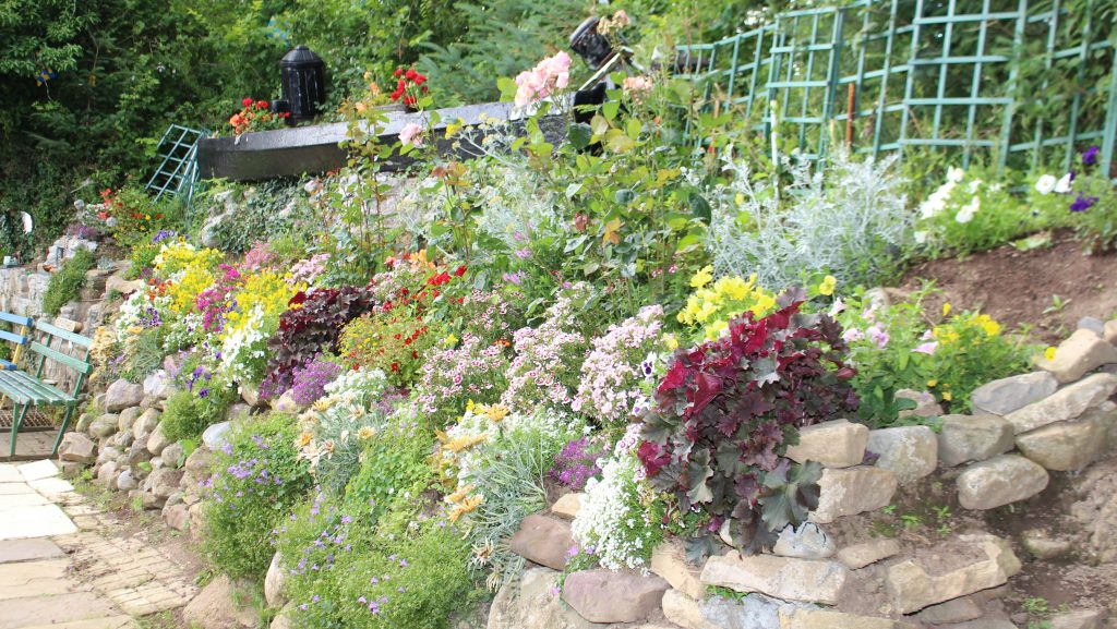 Plants