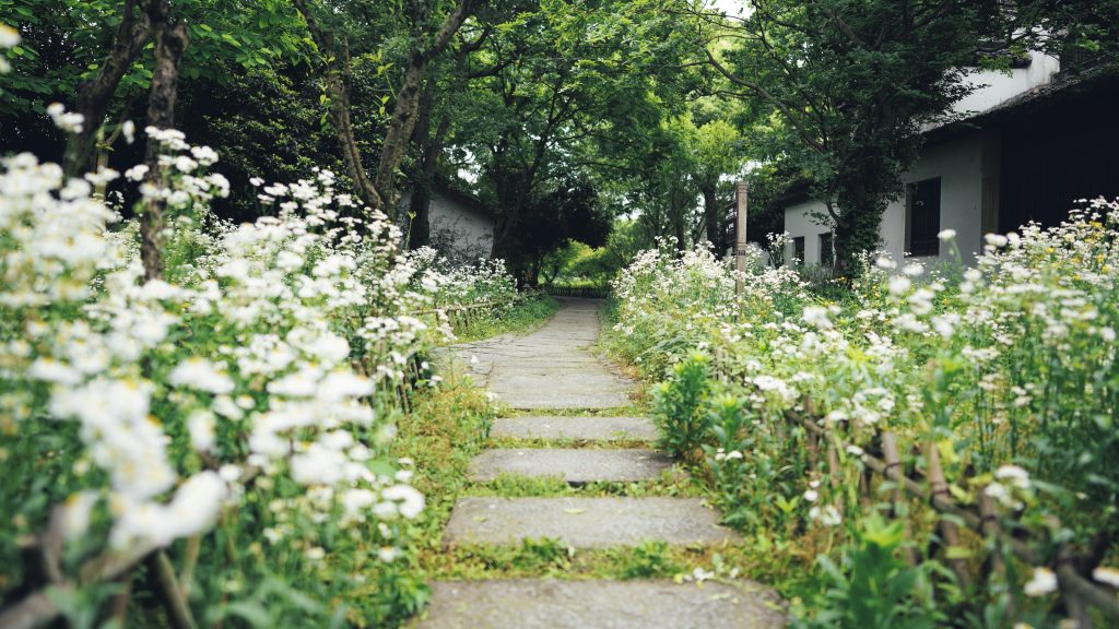 Pathway