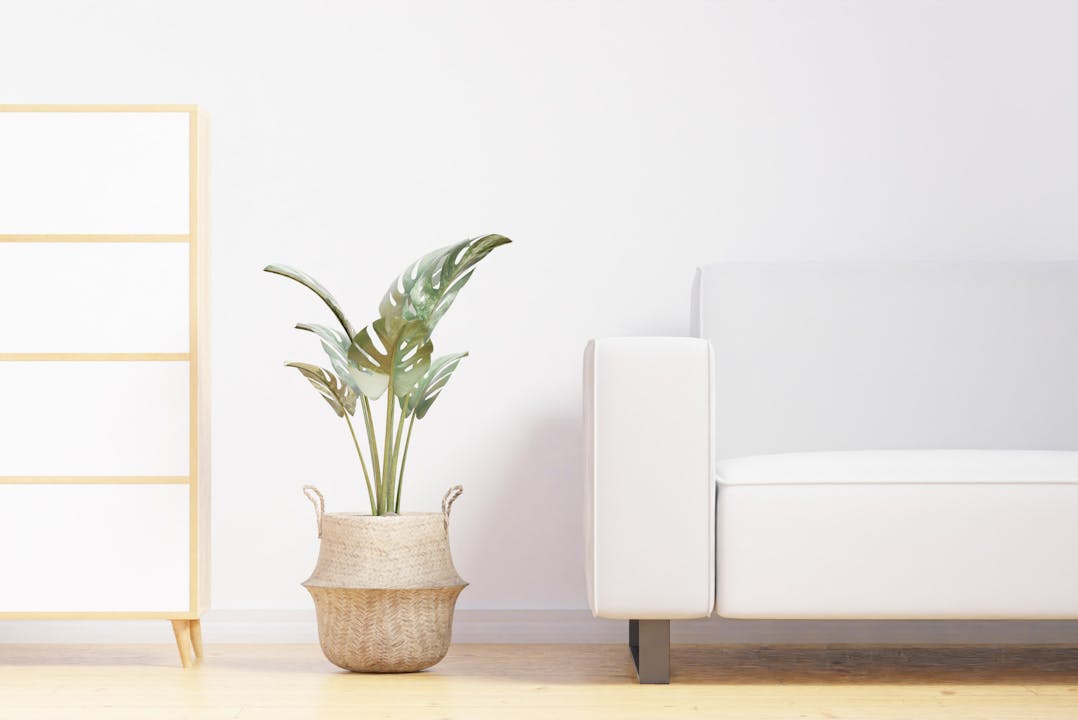 minimalistic