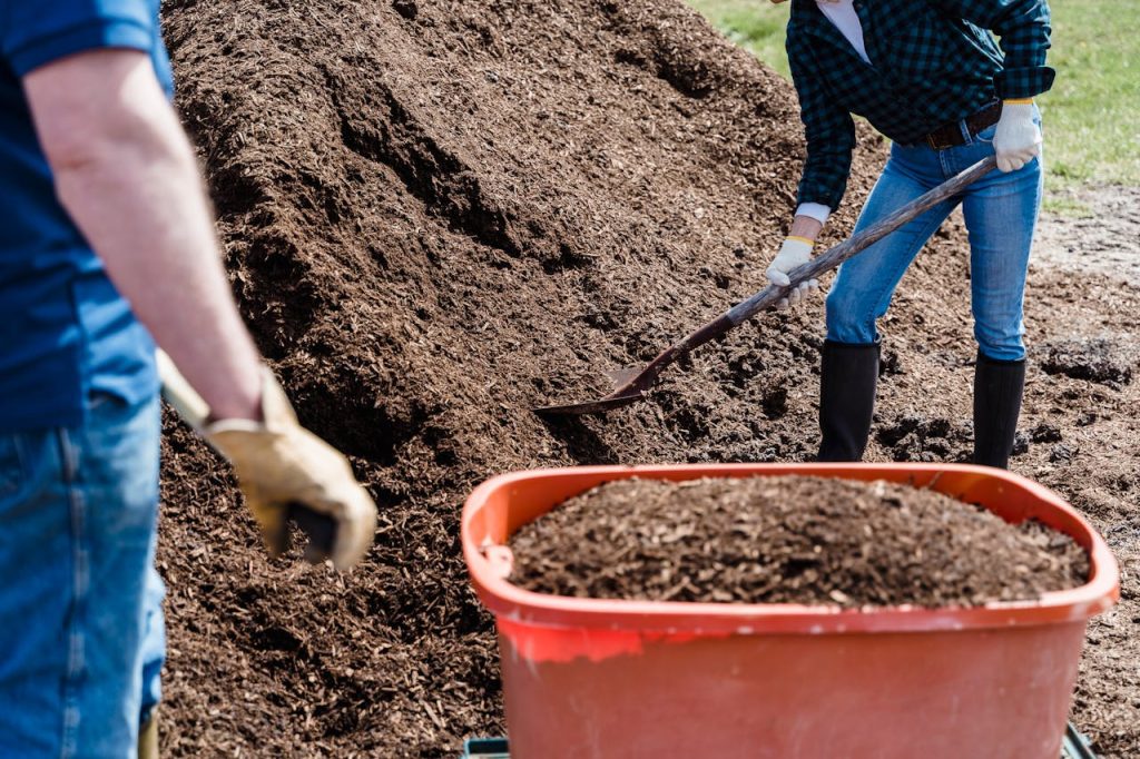 mulch