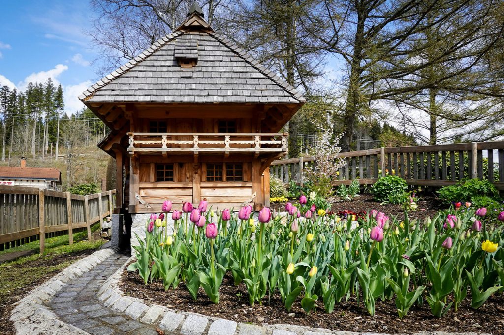 Charming Wooden Cabin in Blooming Spring Garden