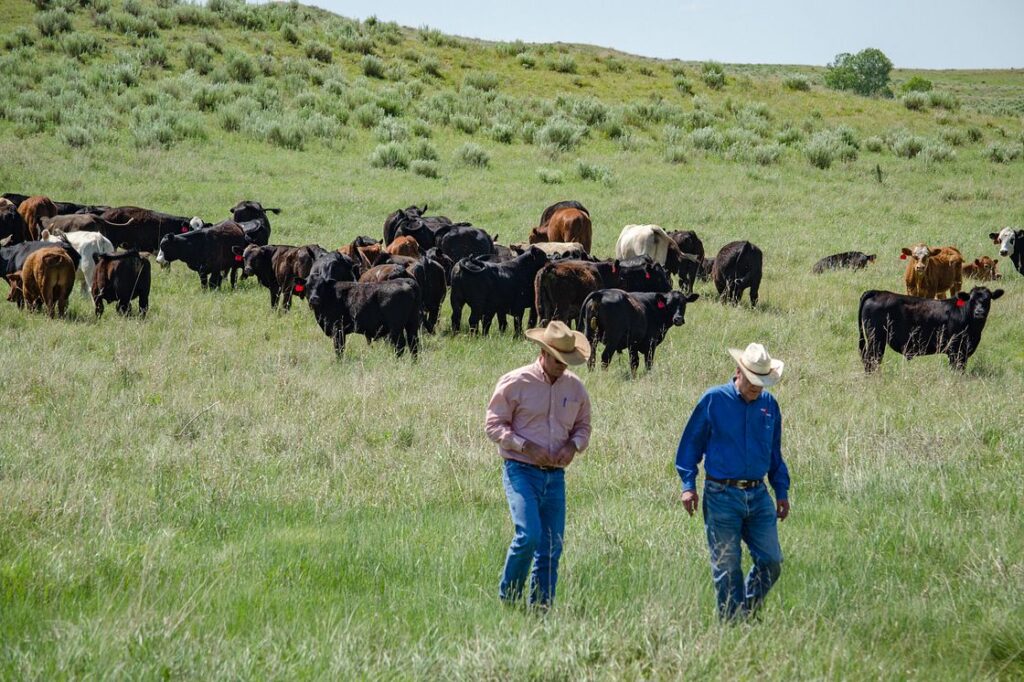 Federal Court Sides with Idaho Ranchers in Water Rights Battle