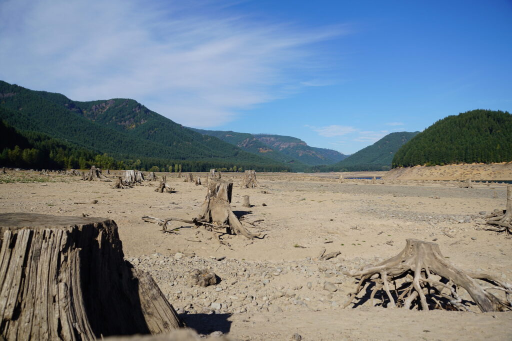 Drought emergency declared for Douglas, Union, Morrow counties