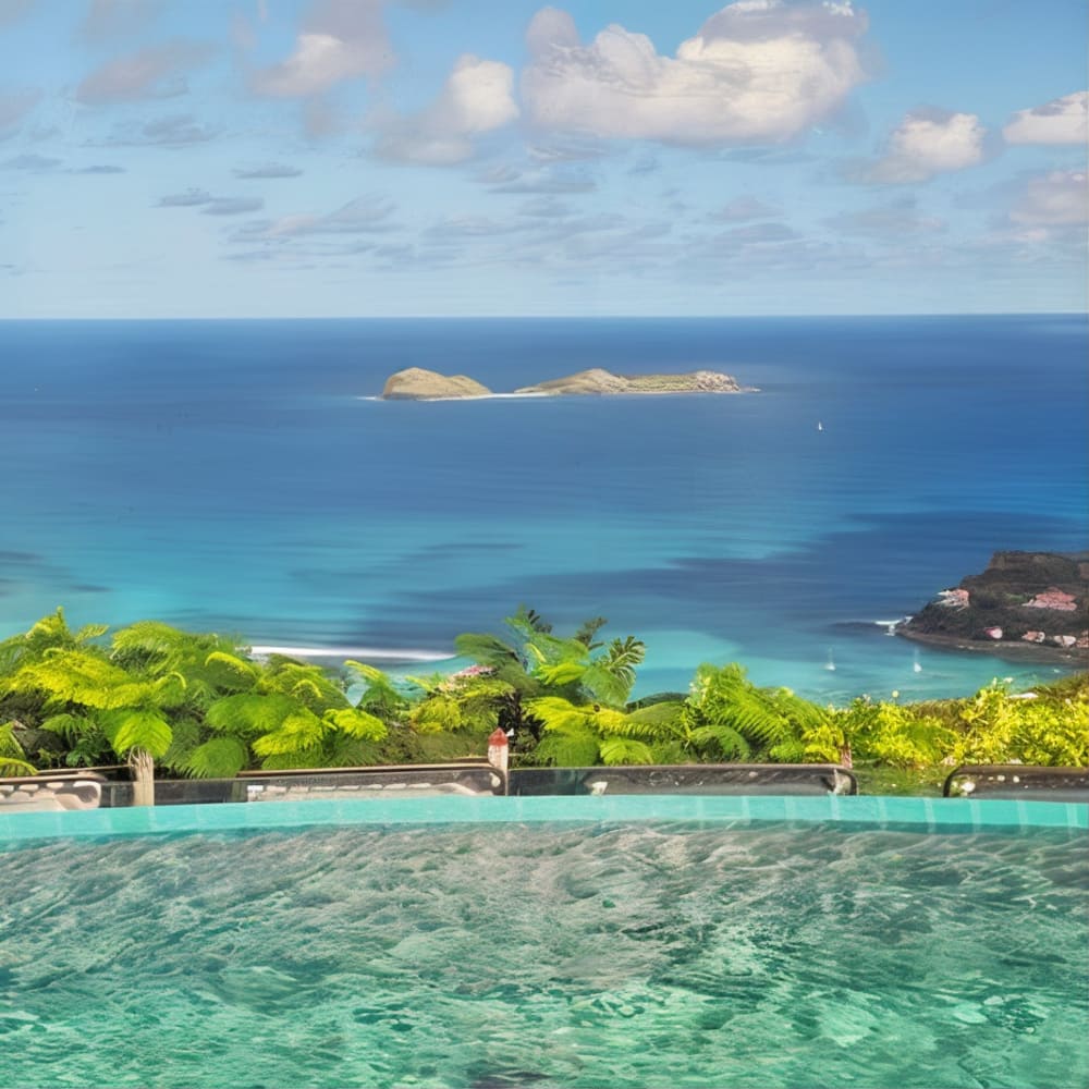 Poolside View of Steve Martin’s Former St. Barts Villa