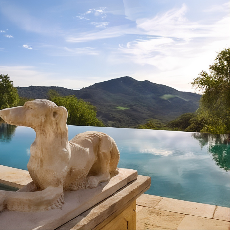 Infinity Pool of Robin Williams’ Former CA Home