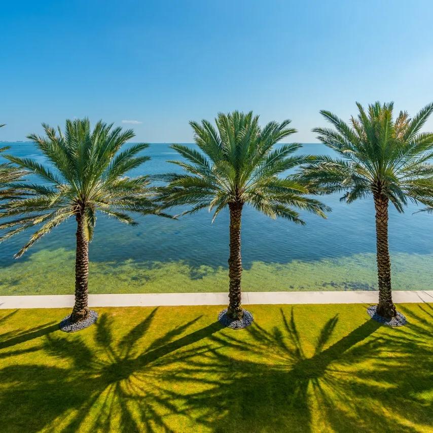 Garden View of The Weeknd’s FL Home