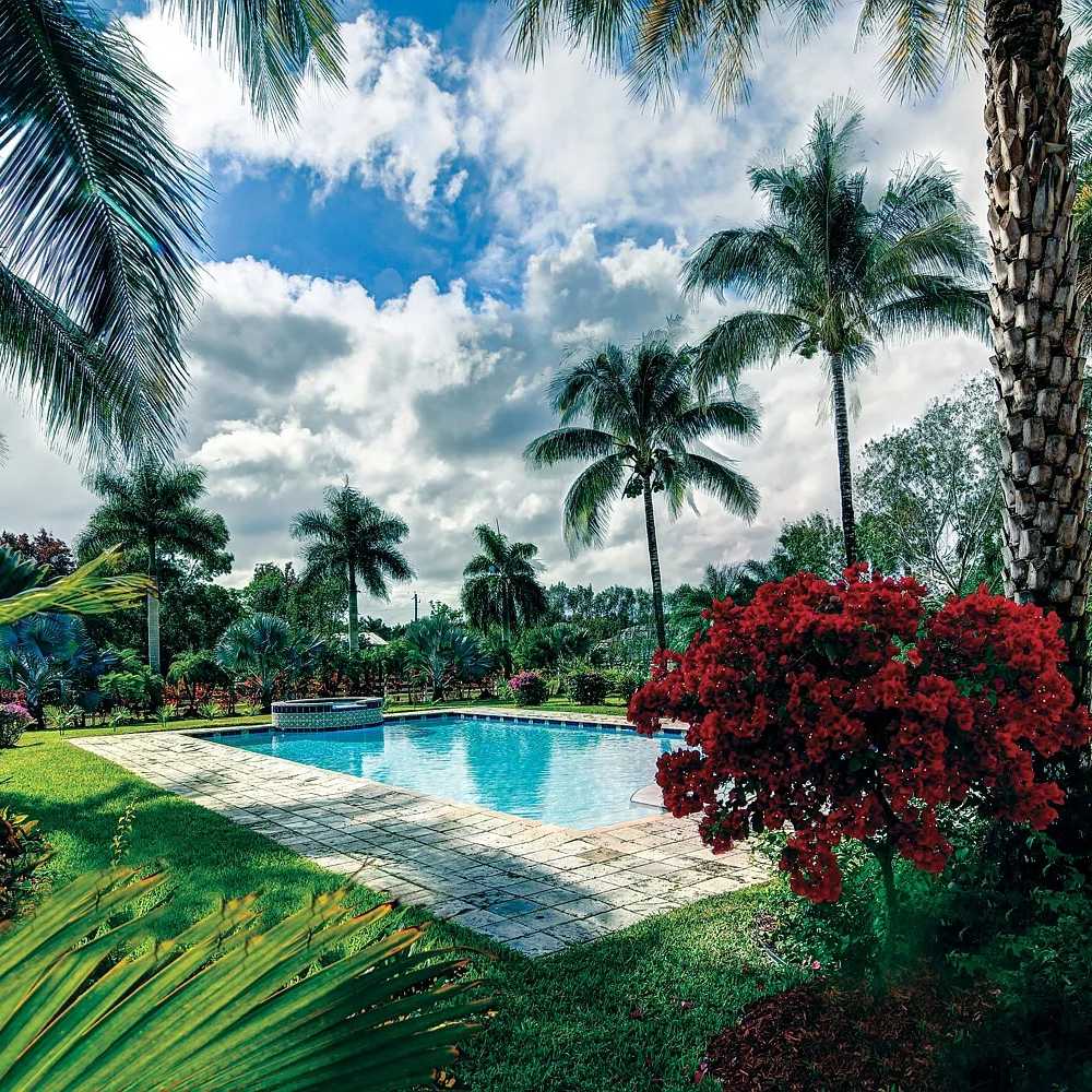 Poolside Garden of Daunte Culpepper’s Former FL Home