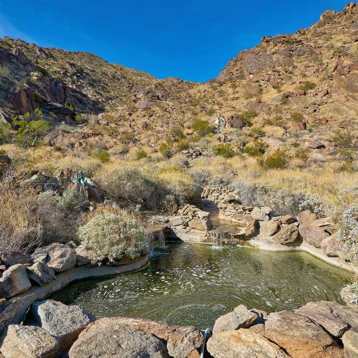 Pond Area of Suzanne Somers’ Former CA Home