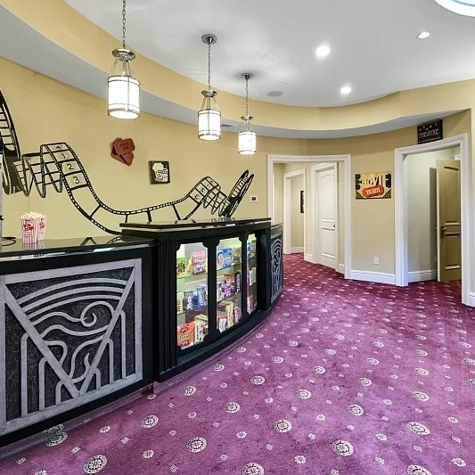 Theater Concession in Teresa Giudice and Luis Ruelas’ NJ Home
