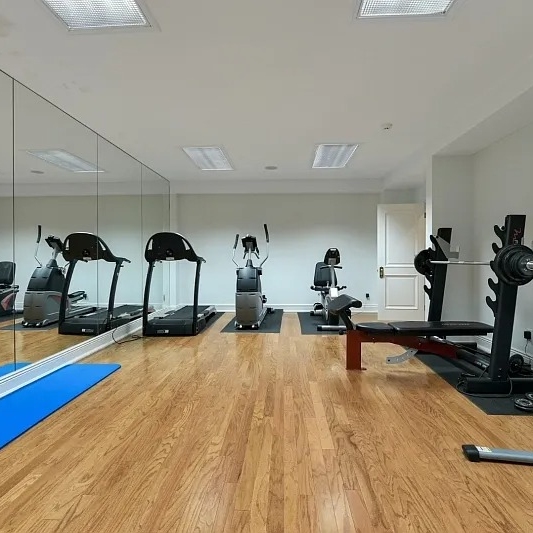 Gym in Teresa Giudice and Luis Ruelas’ NJ Home