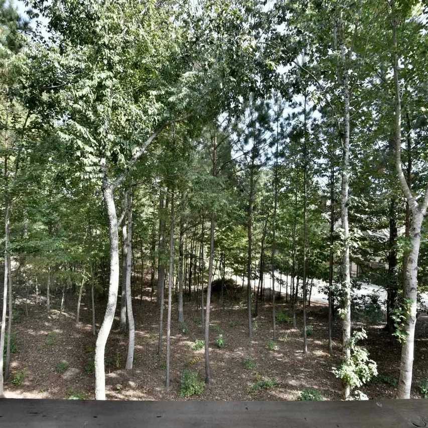 Woodland Backyard of Kirk Cousins’ GA Home